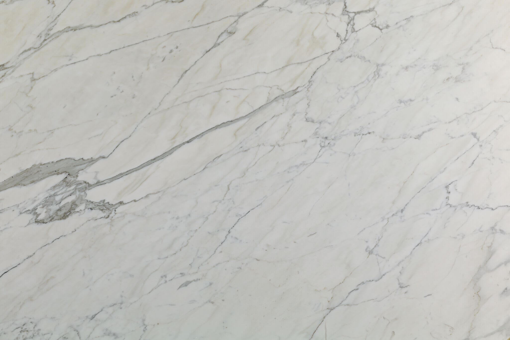 Calacatta Vision Marble Honed 12x24