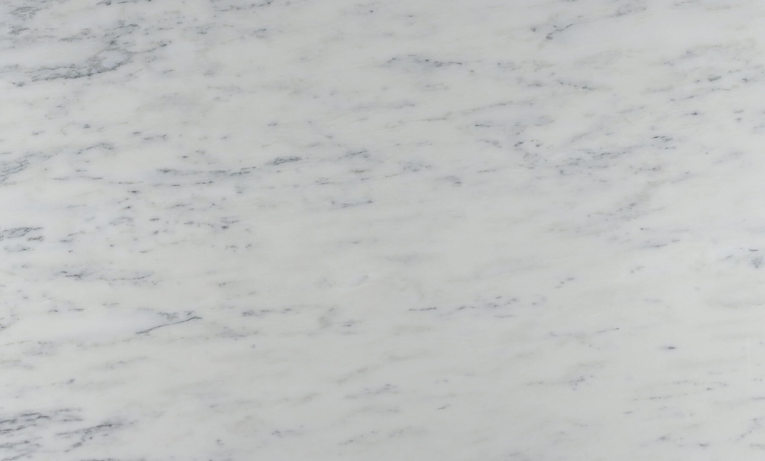 Olympian White Marble Honed 12x24