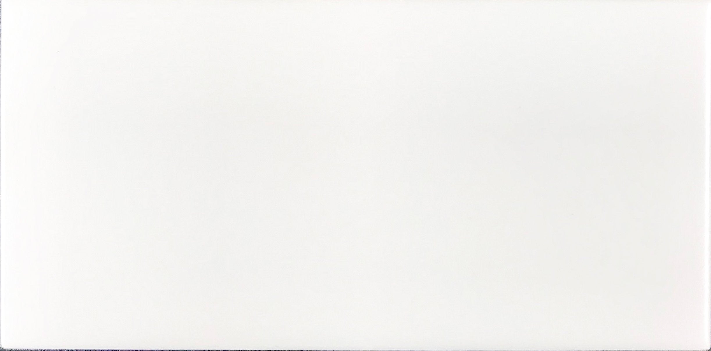 Ice White | 3x6 Matte Subway Tile | - Sample - Mission Stone & Tile
