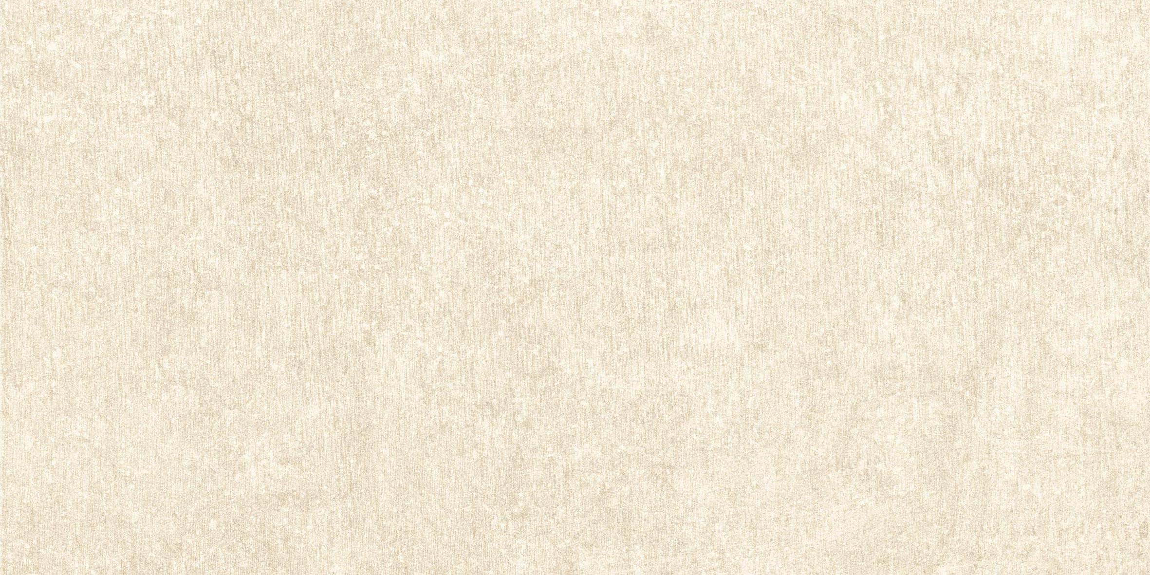 Avorio Natural Stone Honed 12x24