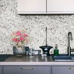 Monument Bello Penny Round Inkjet Glass Mosaic
