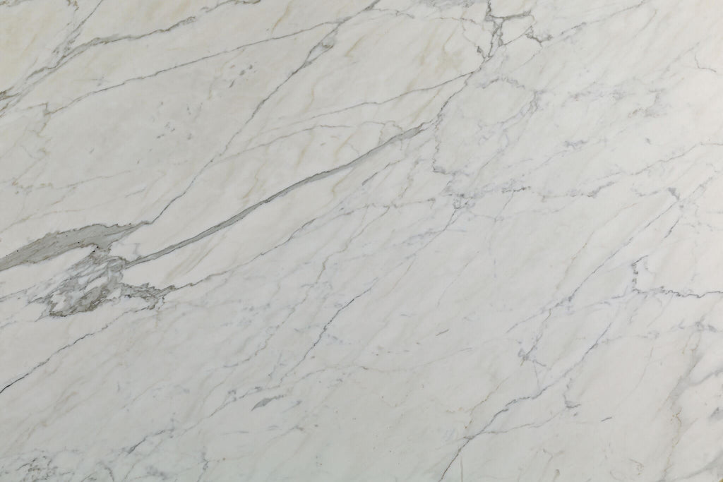 Calacatta Vision Marble Honed 12x24