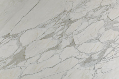 Calacatta Vision Marble Honed 12x24