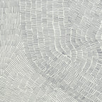 Fossil Grey Natural 24X24