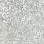 Fossil Grey Natural 24X24