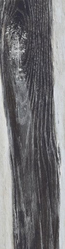 Silent Ashe Gorge 6X24 Porcelain Plank