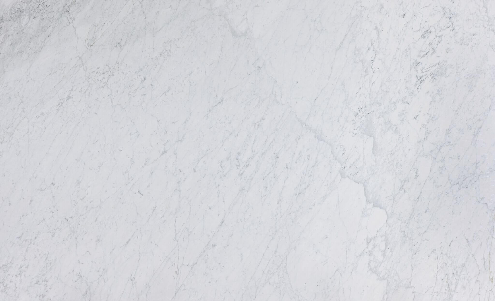 Gioia Venatino Marble Honed 24x24
