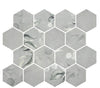 Florals Ivy 3" Hexagon Inkjet Glass Mosaic
