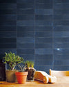 Imperial Midnight Ceramic 2.5X8 Wall Tile