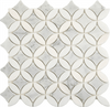 Artistic Carrara + Thassos Ellipse Mosaic- Polished