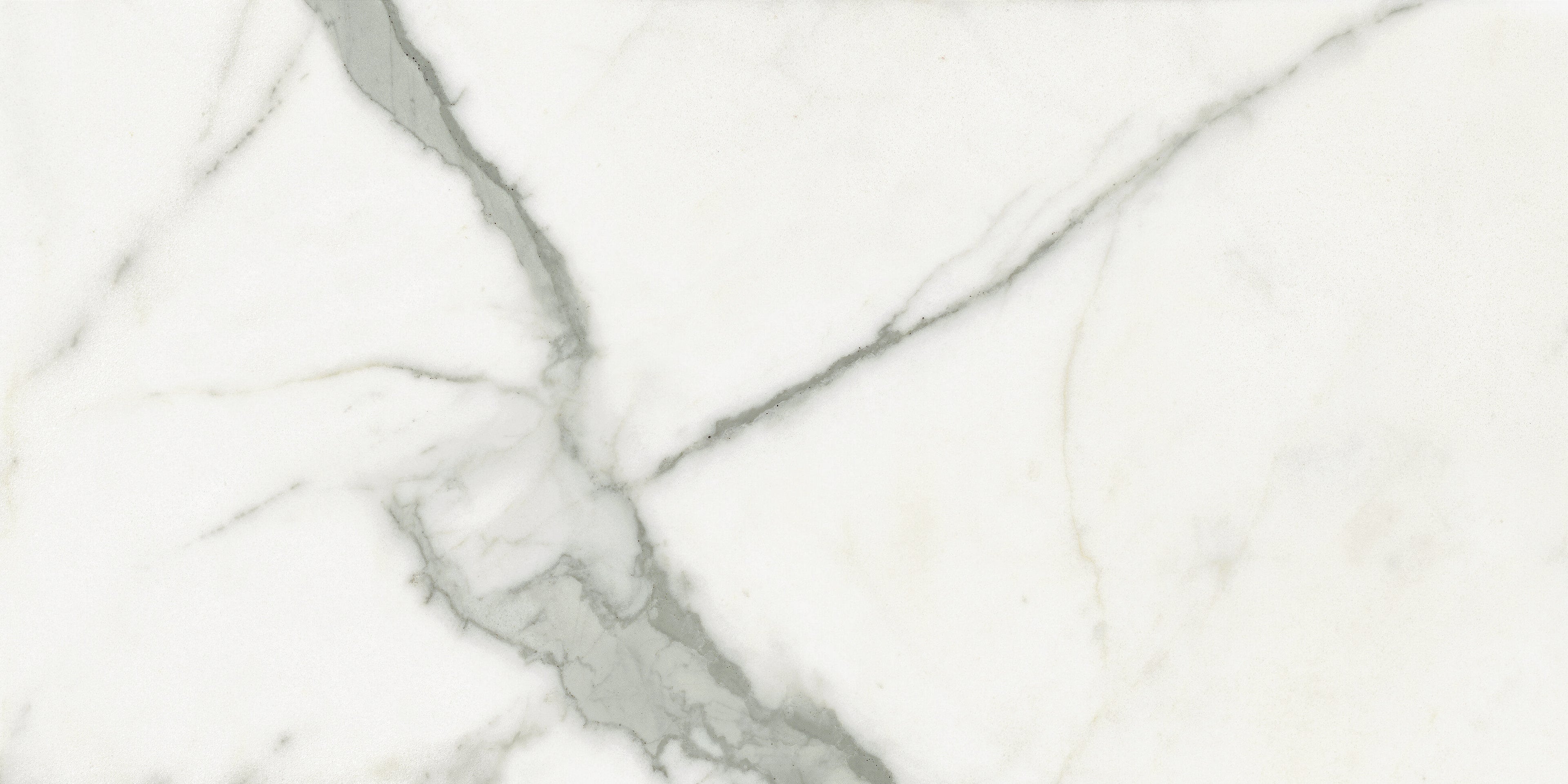 Royal Stone White Matte 12X24