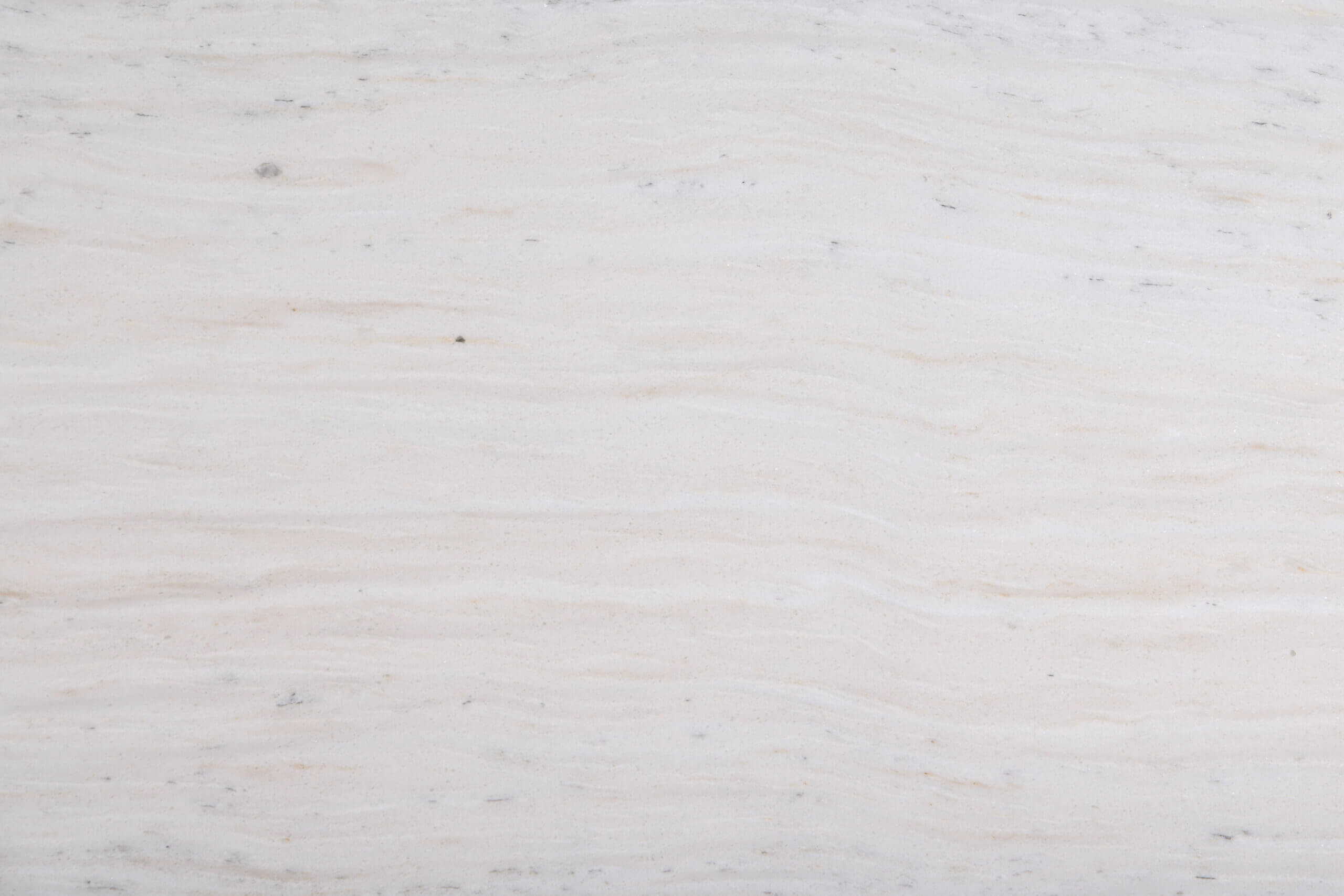 Stellar White Marble Honed 12x24