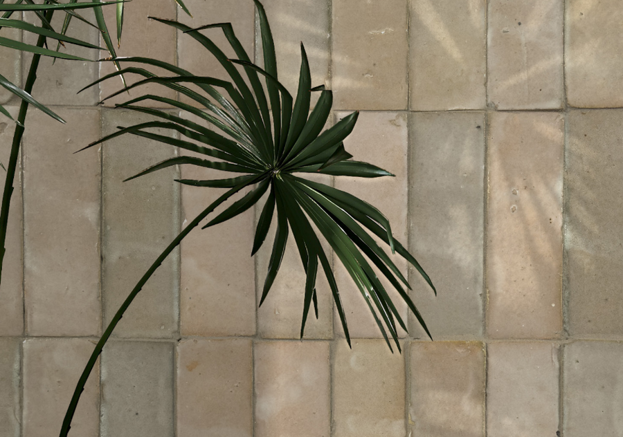 Zellij Corallite Terracotta 2X6 Wall Tile