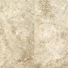 Coral Stone Antique Beige Natural 12x24 - Sample