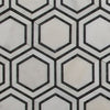 Hex Appeal | Oriental White Polished Marble | Basalt Grey Hexagon 5"