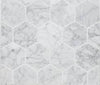 Hexagon |  Bianco Carrara | Honed 3" - Mission Stone & Tile